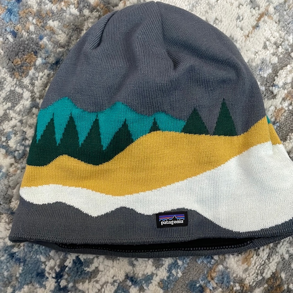 Patagonia hat